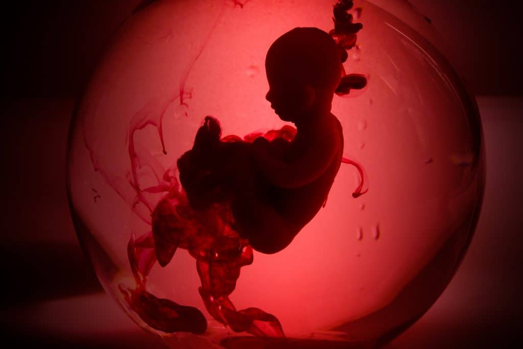 Médicos operam coração de feto dentro da barriga da mãe em hospital no RS