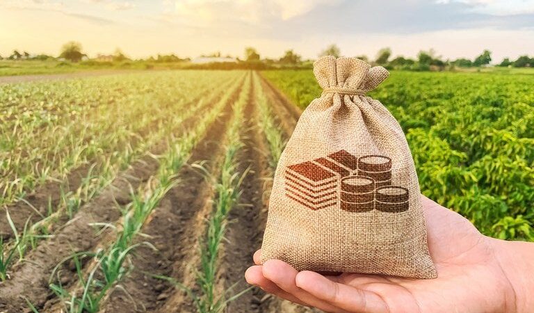 Fiagro para atrair capital estrangeiro será apresentado no Oriente Médio em janeiro