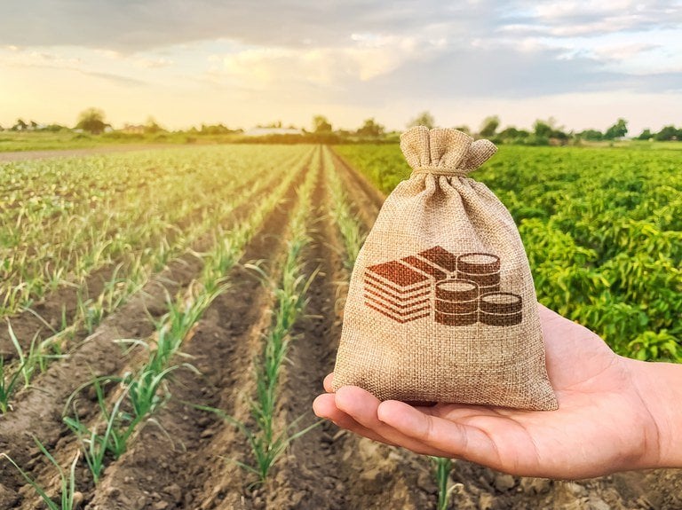 Fiagro para atrair capital estrangeiro será apresentado no Oriente Médio em janeiro
