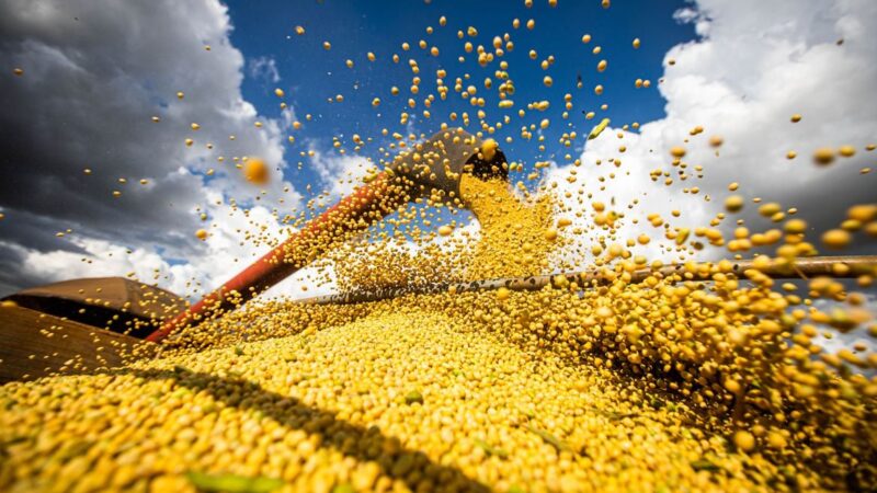 Conab estima produção brasileira de grãos em 354,8 milhões de toneladas na safra 25/26