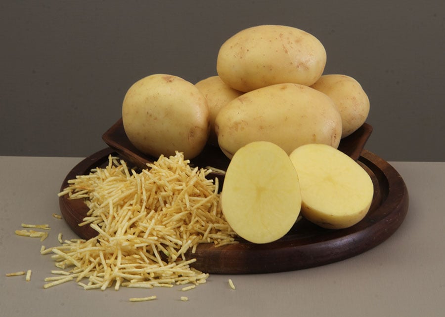 Embrapa lança cultivar de batata para a indústria de chips e palha