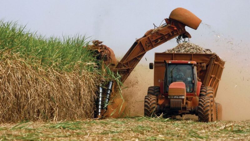 Moagem de cana diminui no Norte e Nordeste, mas produção de etanol cresce