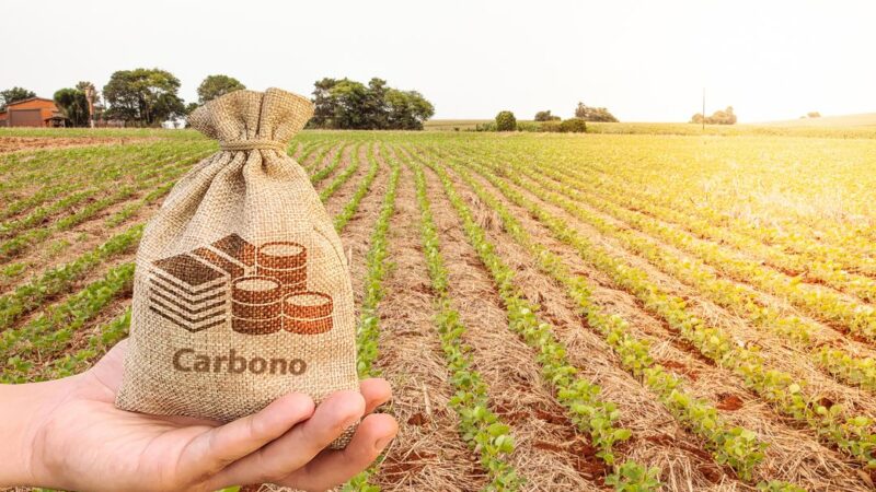 Projeto de R$ 100 mi deve colocar Brasil na vanguarda da ciência climática