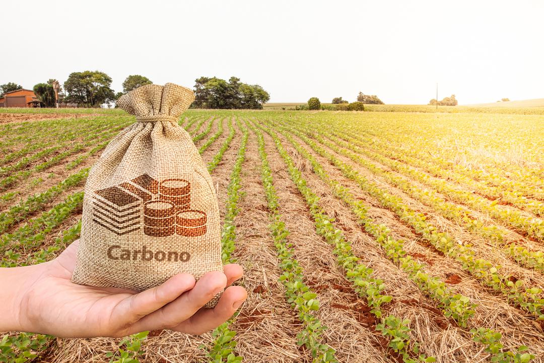 Projeto de R$ 100 mi deve colocar Brasil na vanguarda da ciência climática