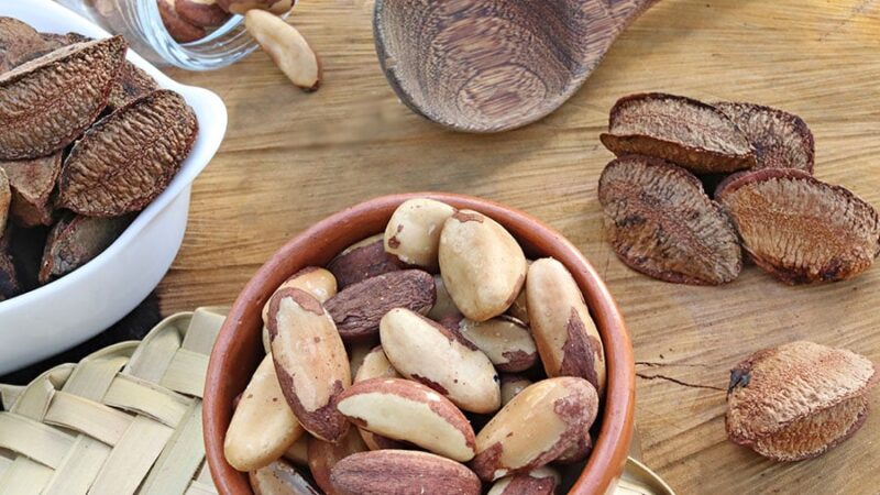 Farinha à base de castanha-do-brasil apresenta teor de proteína 60% superior à do trigo