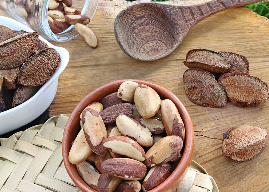 Farinha à base de castanha-do-brasil apresenta teor de proteína 60% superior à do trigo