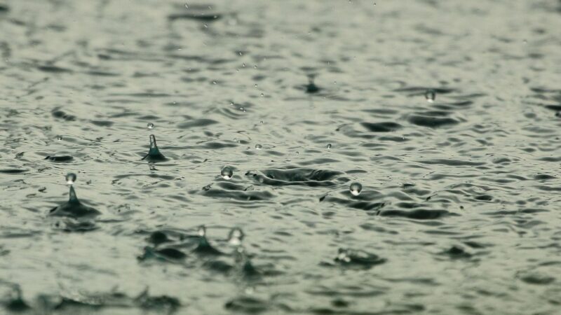 Chuva ganha força e acumulados podem alcançar até 100 milímetros em algumas regiões; veja quais