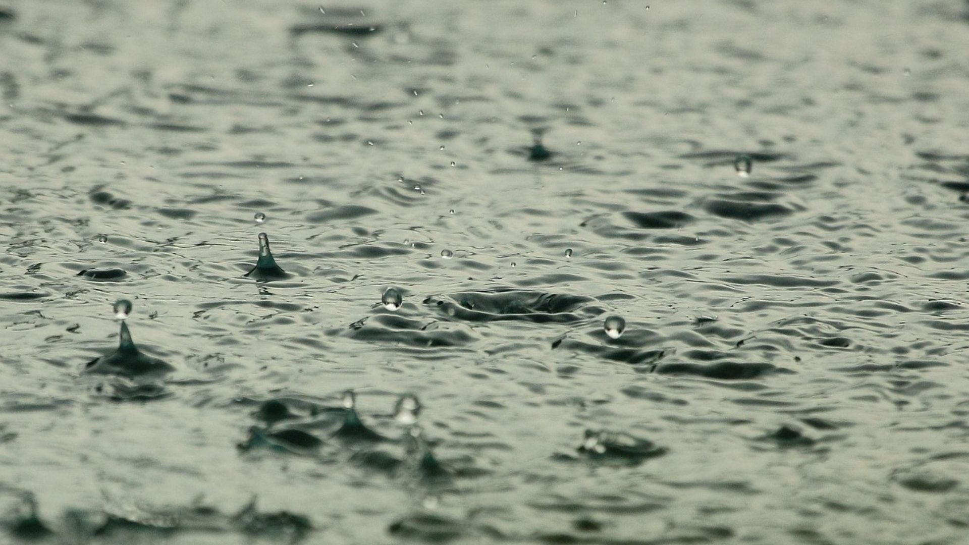 Chuva ganha força e acumulados podem alcançar até 100 milímetros em algumas regiões; veja quais