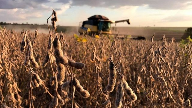 China deve priorizar importação de soja do Brasil no primeiro semestre