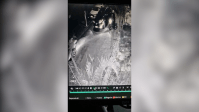 “Momento de profunda dor”, diz PM sobre soldado que morreu atropelado em SP