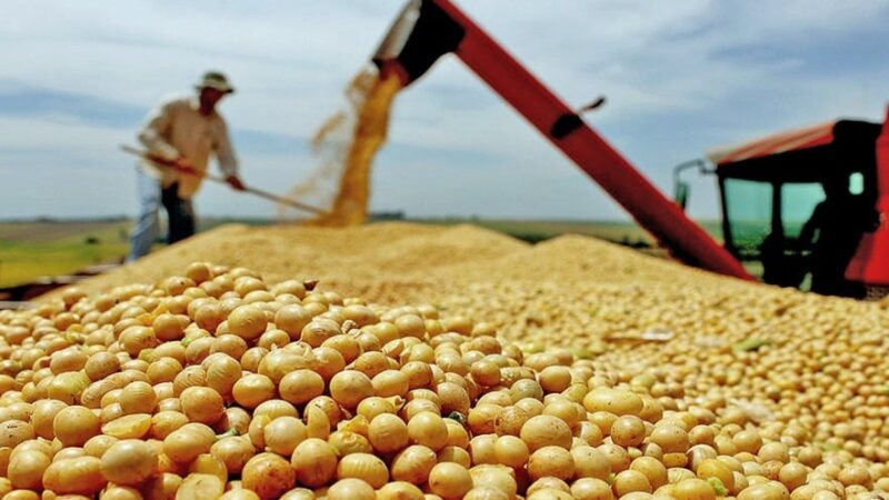 Quais os desafios e as oportunidades para o agro em 2026?