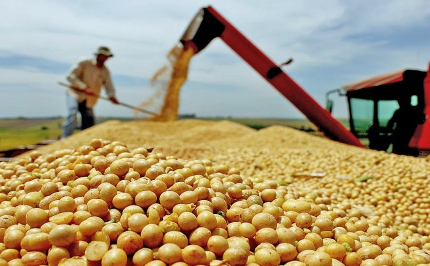 Quais os desafios e as oportunidades para o agro em 2026?