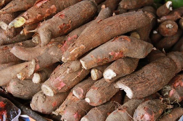 Mandioca recua e atinge menor preço desde setembro, aponta Cepea