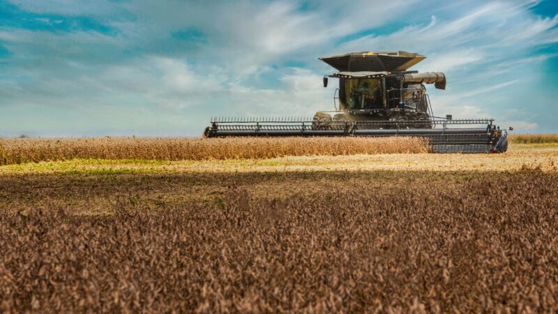 Colheita de soja avança para 2% no Brasil, aponta AgRural