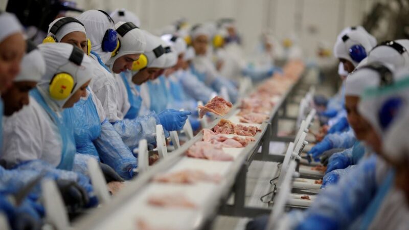 Acordo Mercosul-UE deve ampliar exportações brasileiras de carne de frango, aponta Cepea