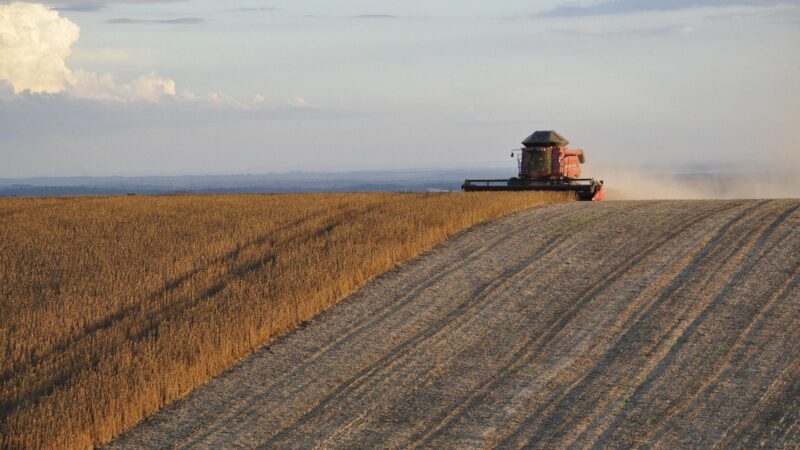 É hora de refletir: o agro brasileiro está sem rede de proteção