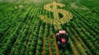 Mosaic prorroga paralisação de produção de fertilizante SSP