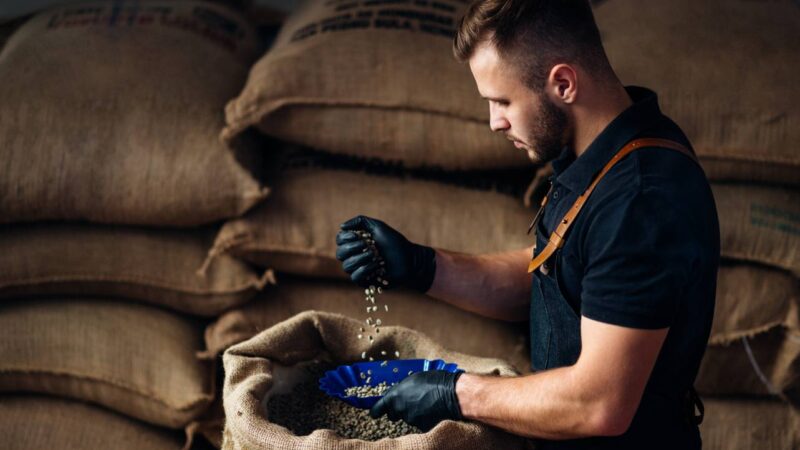 Cooxupé discute regras para vínculo entre produtor e trabalhador na cafeicultura