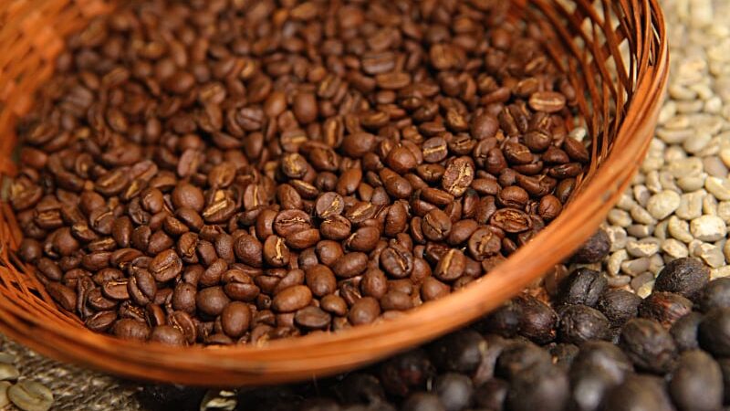 Cepea projeta volatilidade nos preços do café em 2026 com oferta global restrita