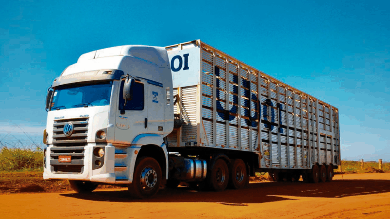 ‘Uber do boi’: novas tecnologias e inteligência artificial modernizam transporte boiadeiro no Brasil
