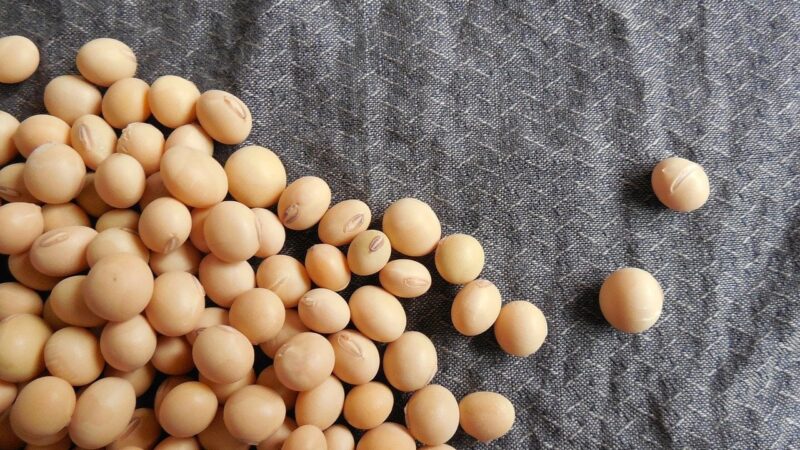 Vai ser recorde? Colheita avança no Brasil e produtores aguardam bons números para a soja