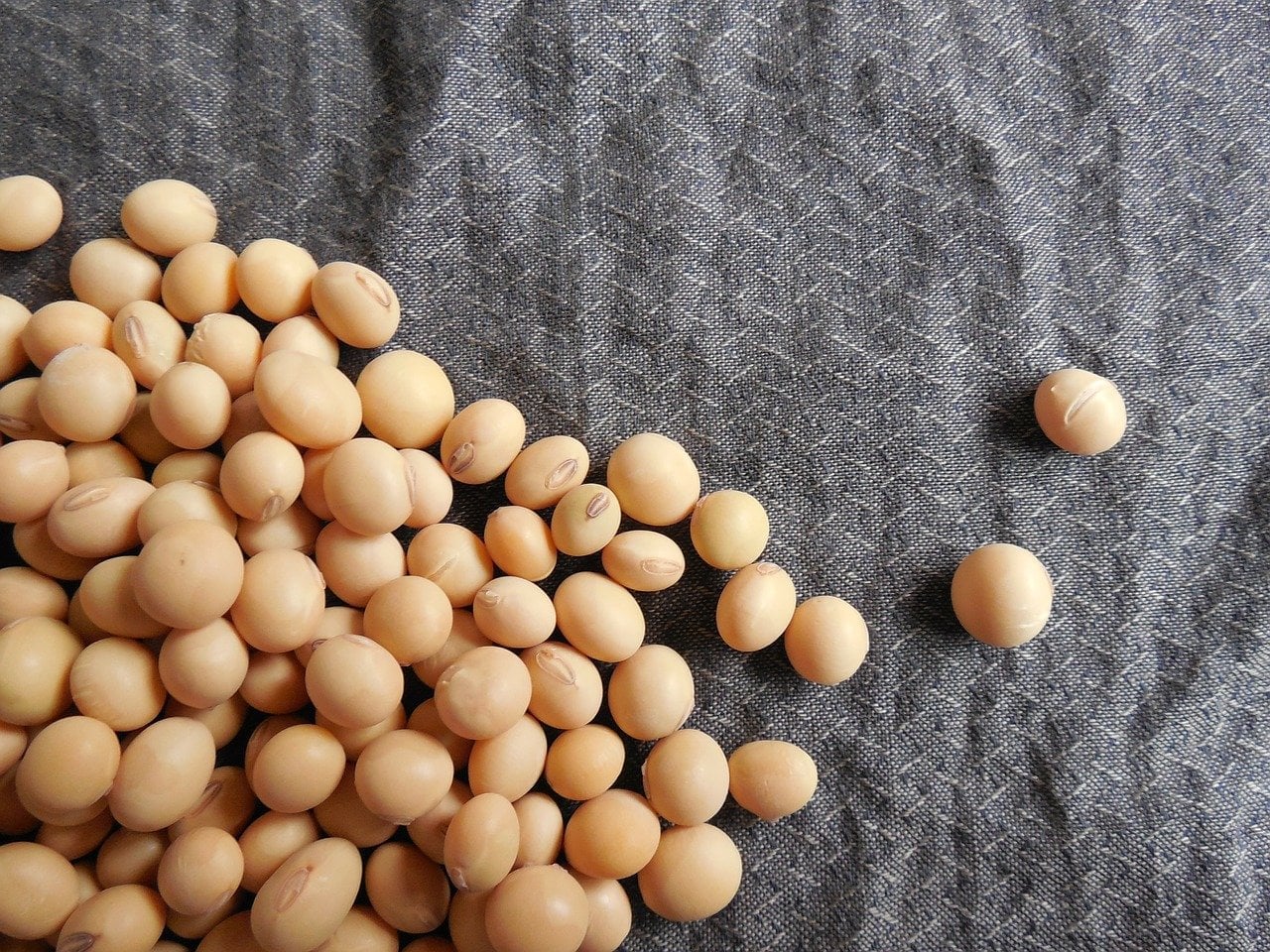 Vai ser recorde? Colheita avança no Brasil e produtores aguardam bons números para a soja
