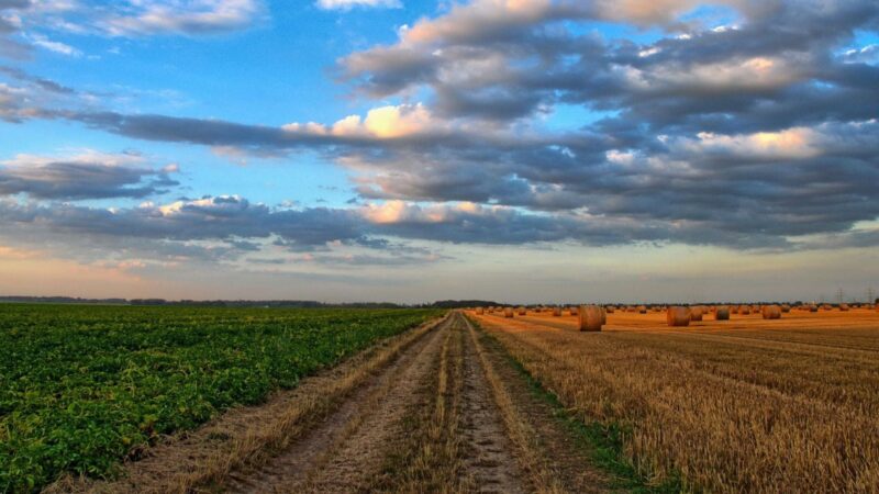 Centro-Oeste lidera procura por terras rurais em 2025, aponta levantamento