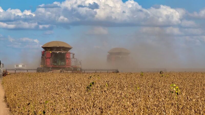 PIB do Brasil deve crescer 2,3% em 2026; agro avança 0,5% no ano, projeta governo