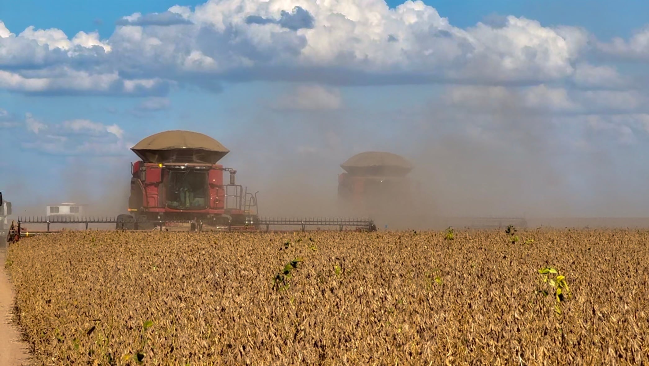 PIB do Brasil deve crescer 2,3% em 2026; agro avança 0,5% no ano, projeta governo