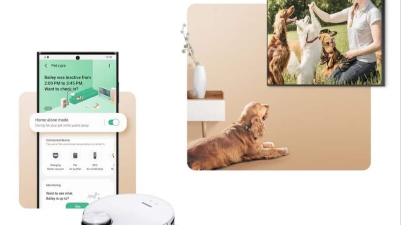 O novo jeito de cuidar do bicho de estimação sozinho em casa usando a tecnologia da Samsung