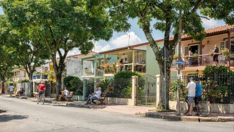 Você só vê sombra? O que as árvores “soltam” no ar e turbina sua imunidade sem você saber