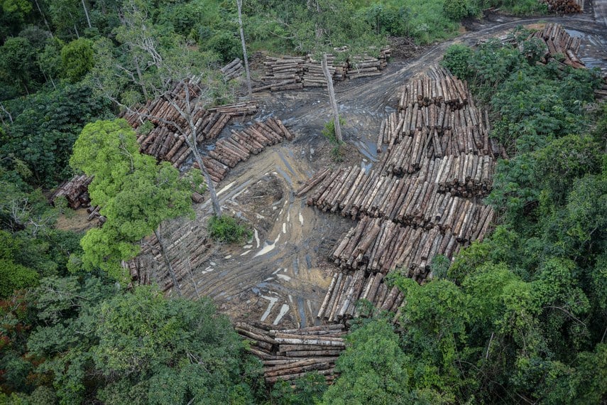 Alertas de desmatamento caem 35% na Amazônia e 6% no Cerrado