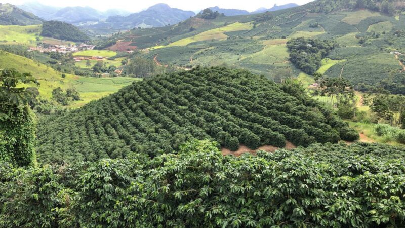 Minas Gerais e República Tcheca avaliam parceria em inteligência geoespacial no café