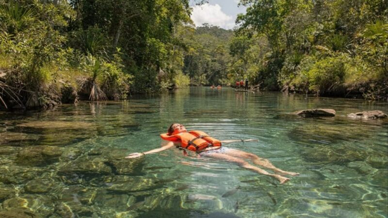 Nem maldivas, nem Cancún: O destino brasileiro que virou o primeiro ‘carbono neutro’ do mundo