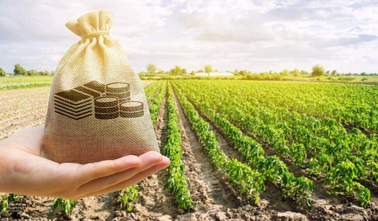 BNDES aprova R$ 7,5 bilhões para renegociações de dívidas de produtores rurais