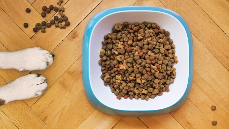 Brasil habilita 40 plantas de pet food para exportação à Costa Rica