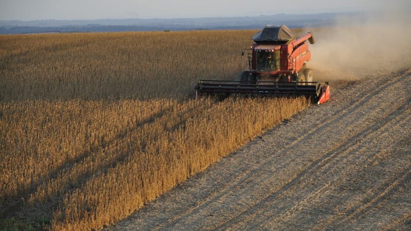 Comercialização de soja trava e preços recuam no Brasil; confira as cotações
