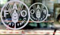 Ministros assumem copresidência de comissão da FAO na América Latina