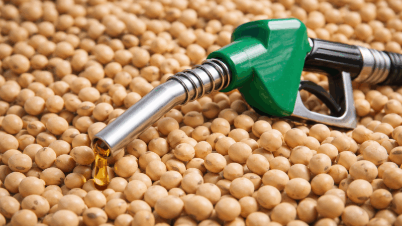 Setor de biodiesel afirma ter capacidade instalada para elevar mistura para até 21%