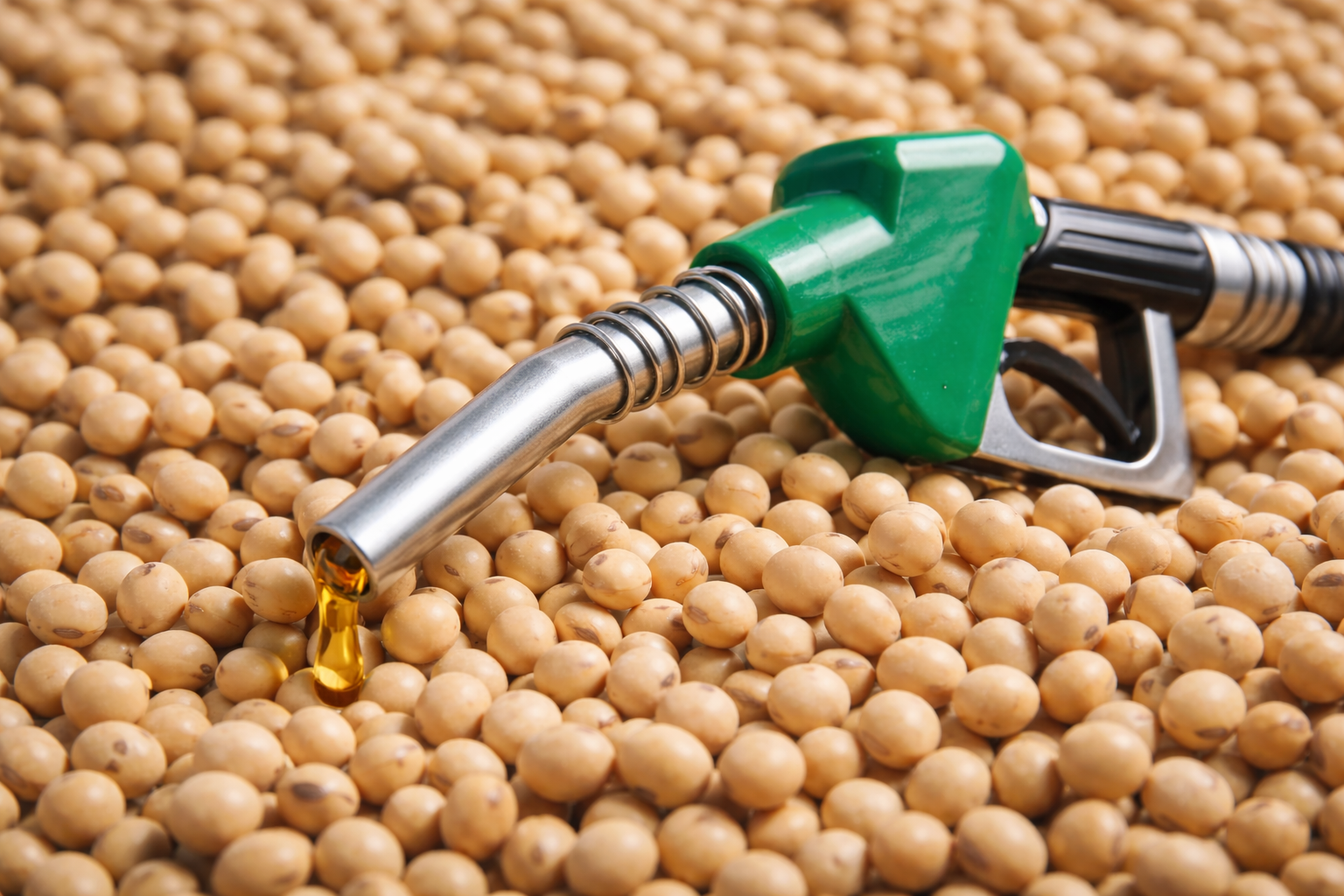 Setor de biodiesel afirma ter capacidade instalada para elevar mistura para até 21%