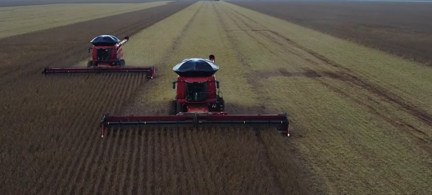 Incertezas globais e eleições no Brasil cria cenário desafiador para o agro