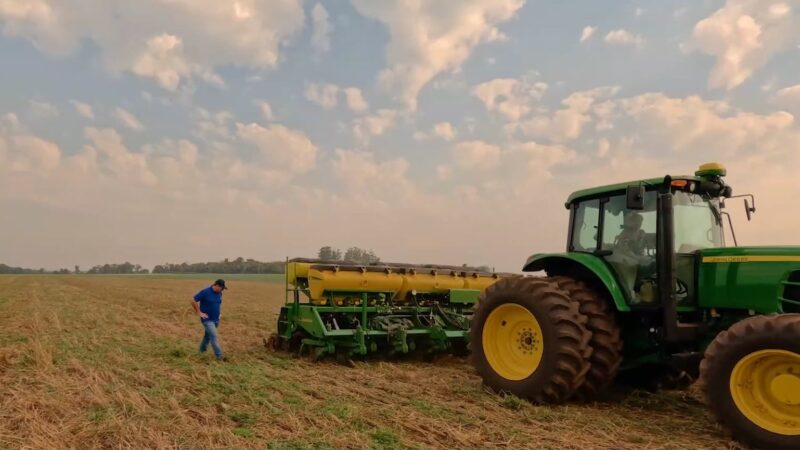 Plantio de milho avança no Brasil, enquanto soja mantém ritmo na colheita, aponta Datagro