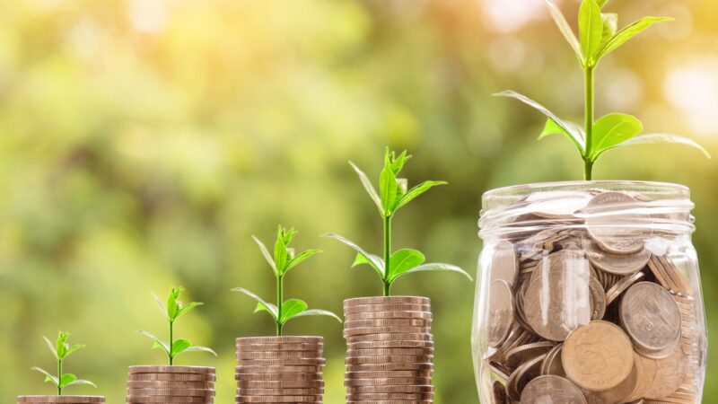 Cédulas de Produto Rural totalizam R$ 561 bilhões em fevereiro