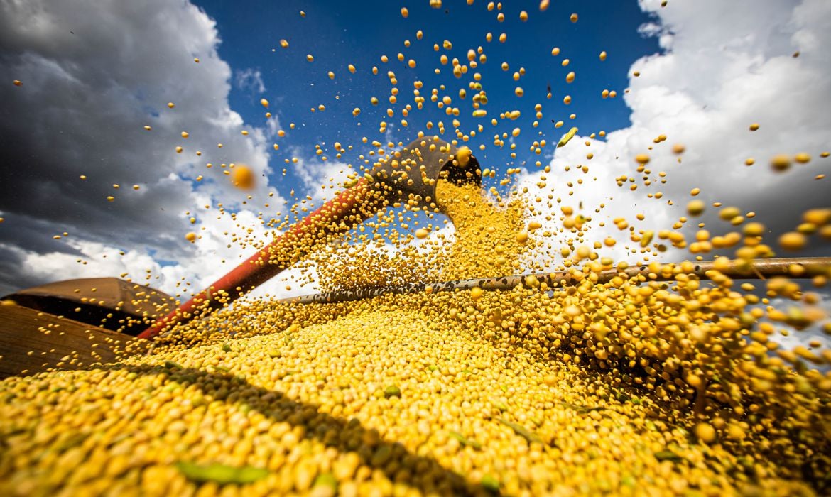 USDA e Conab sem surpresas? Mercado de soja segue de olho no conflito no Oriente Médio