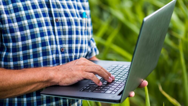 Produtores de Mato Grosso podem negociar multas na dívida ativa com até 65% de desconto; saiba como