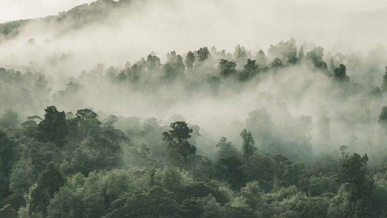 Frente fria e ciclone provocam chuva forte, temporais e queda de temperatura no fim de semana