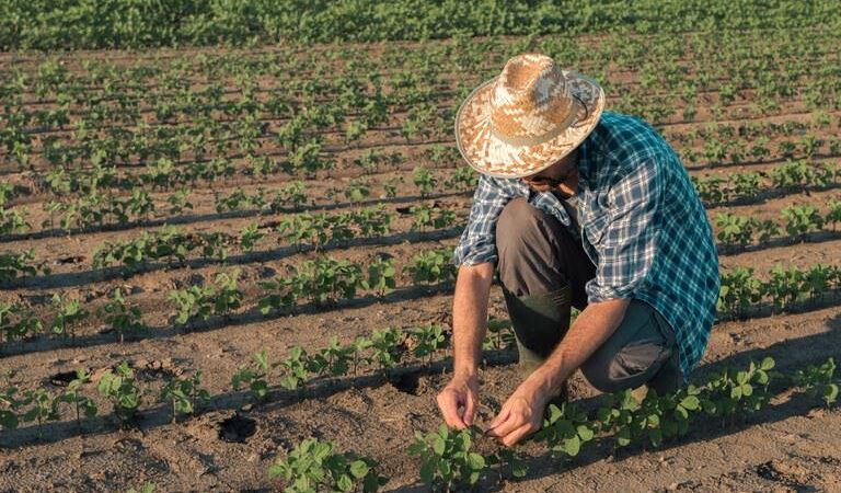 CNA solicita redução da burocracia no crédito rural e mudanças em regras ambientais