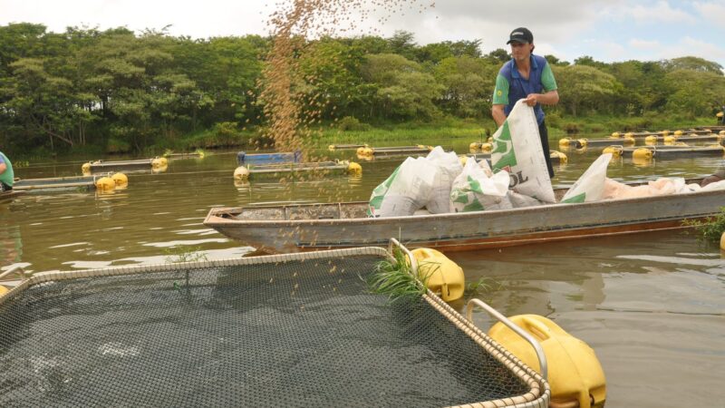 CNA solicita suspensão de exigência de RGP para aquicultores