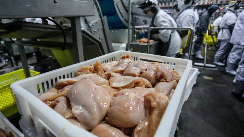 Disparada do diesel interrompe queda no preço do frango