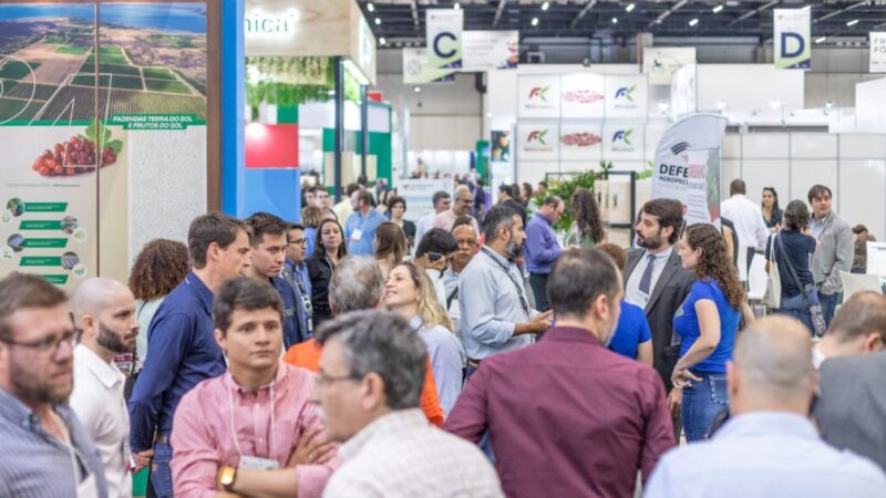 Brasil amplia exportações de frutas e movimenta US$ 11,2 milhões em evento internacional